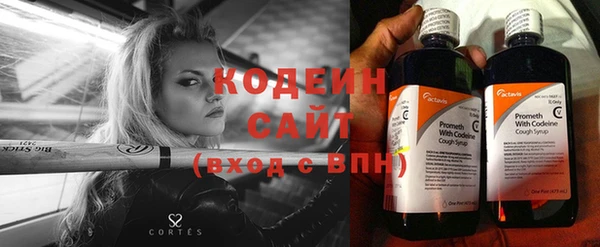 гашик Верея
