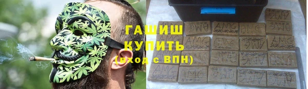 гашик Верея
