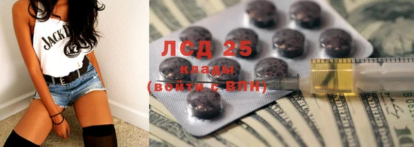 гашик Верея