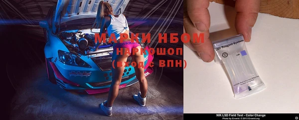 гашик Верея