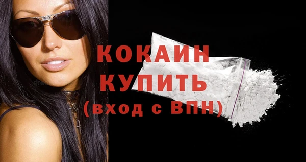 гашик Верея