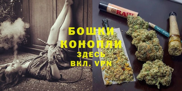 гашик Верея