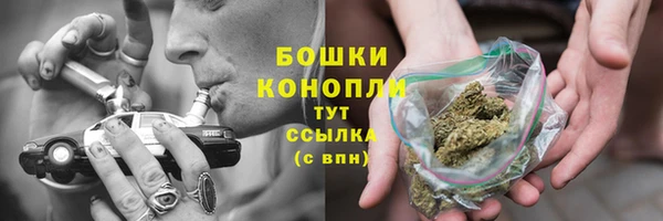 молекула духа Березники
