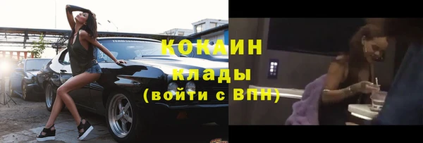 гашик Верея