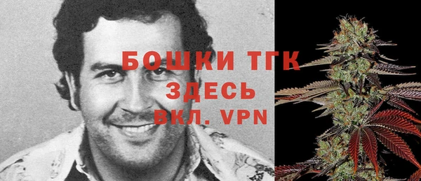 молекула духа Березники