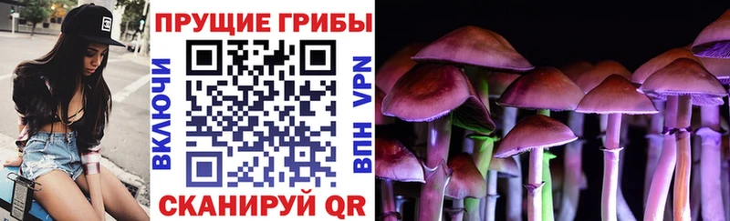 ссылка на мегу маркетплейс  где можно купить наркотик  Ворсма  Галлюциногенные грибы Magic Shrooms 